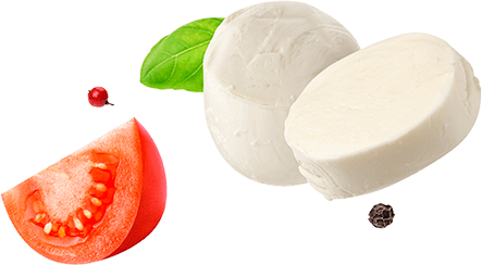 falling-mozzarella-cheese-isolated-on-white-backgr-W4UPR97-12.png